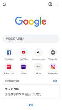 google浏览器1