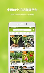 兰花交易网3