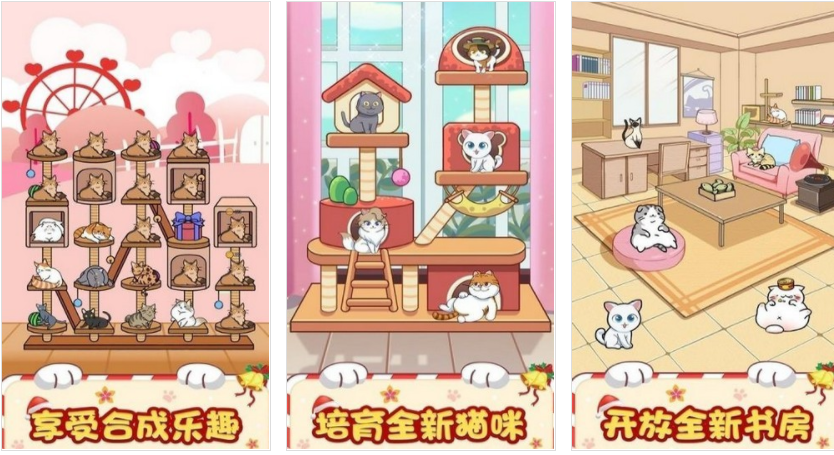 猫咪旅行家