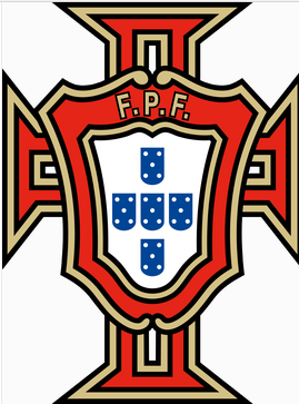 2022年卡塔尔世界杯 重磅分析h组最强队伍~葡萄牙队(图文)-ie下载乐园