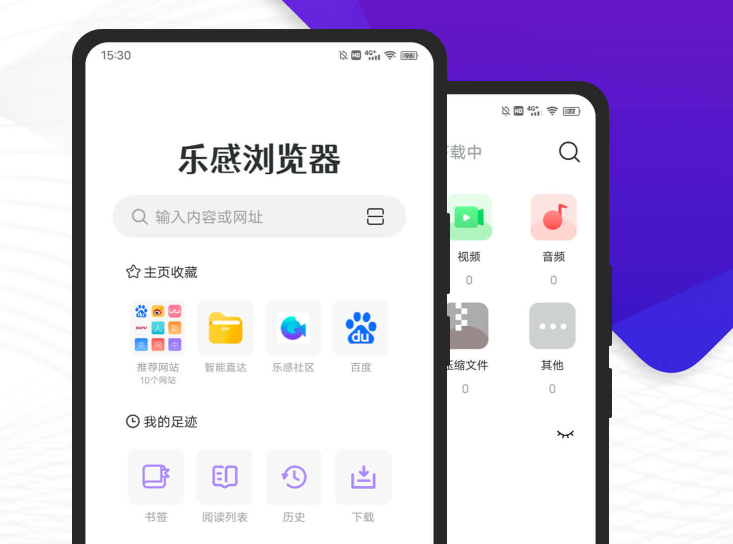 乐感浏览器