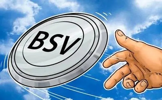 bsv是什么数字货币_bsv全称是什么