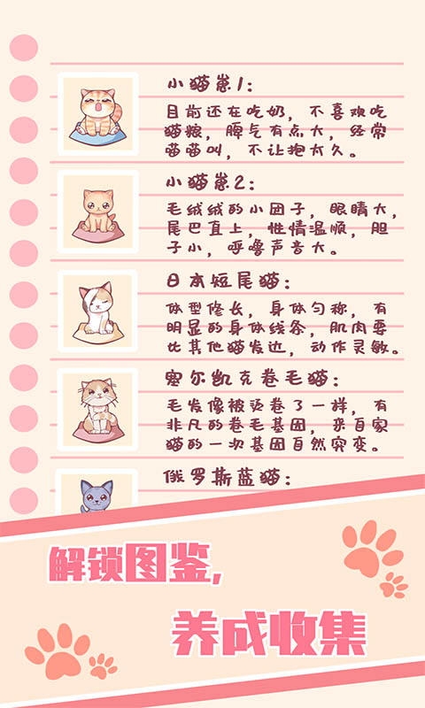 猫咪养成-云撸猫咪4