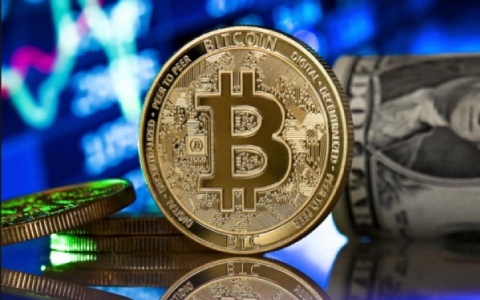 莱特币与以太坊哪个潜力更大？全面对比分析